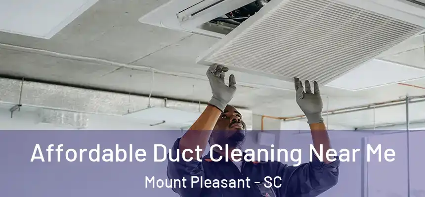  Affordable Duct Cleaning Near Me Mount Pleasant - SC