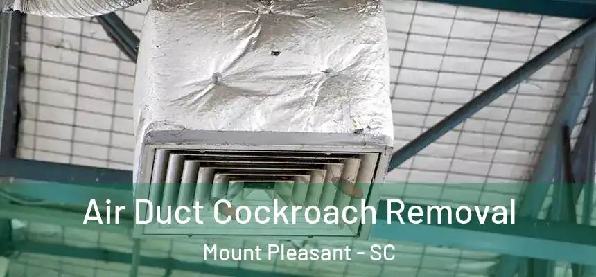  Air Duct Cockroach Removal Mount Pleasant - SC