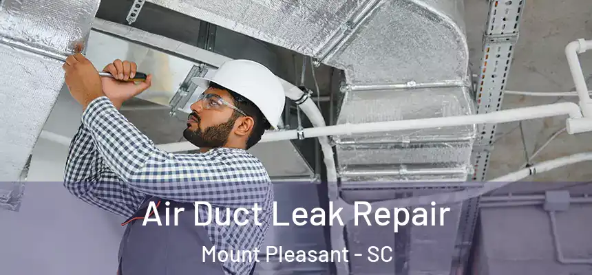  Air Duct Leak Repair Mount Pleasant - SC