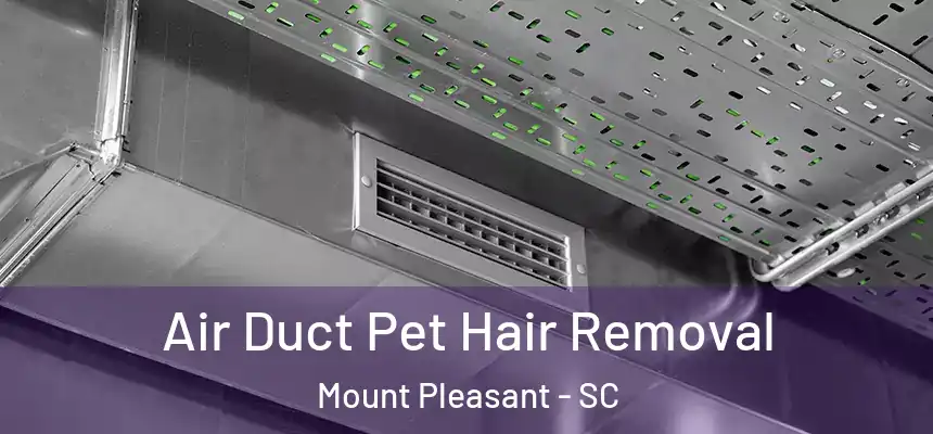 Air Duct Pet Hair Removal Mount Pleasant - SC