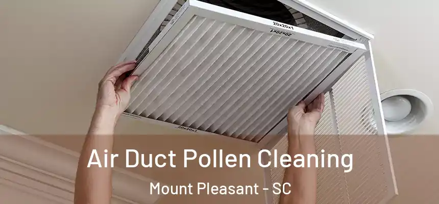  Air Duct Pollen Cleaning Mount Pleasant - SC