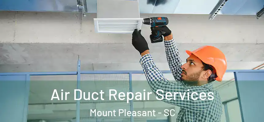  Air Duct Repair Services Mount Pleasant - SC