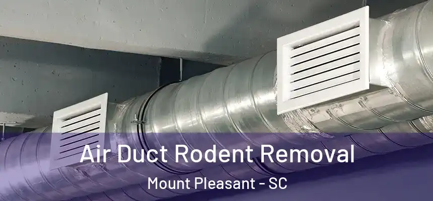  Air Duct Rodent Removal Mount Pleasant - SC
