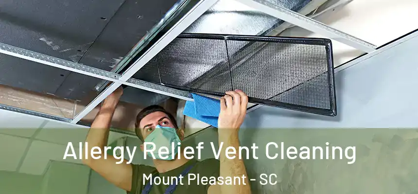  Allergy Relief Vent Cleaning Mount Pleasant - SC