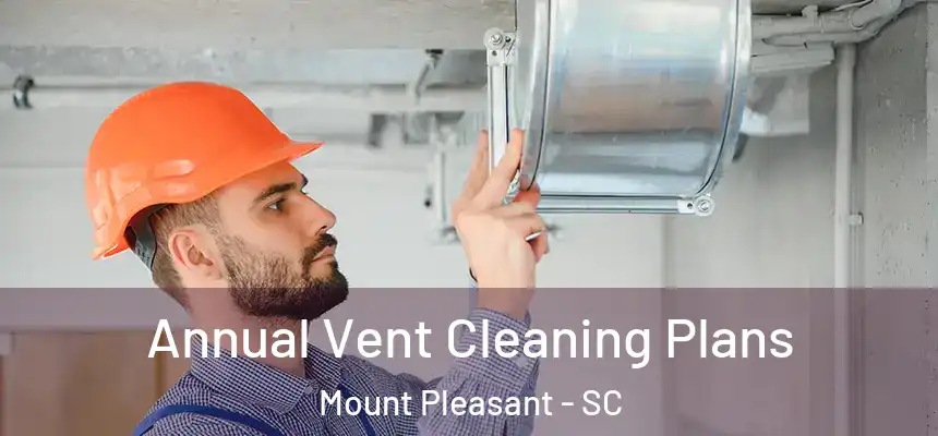 Annual Vent Cleaning Plans Mount Pleasant - SC