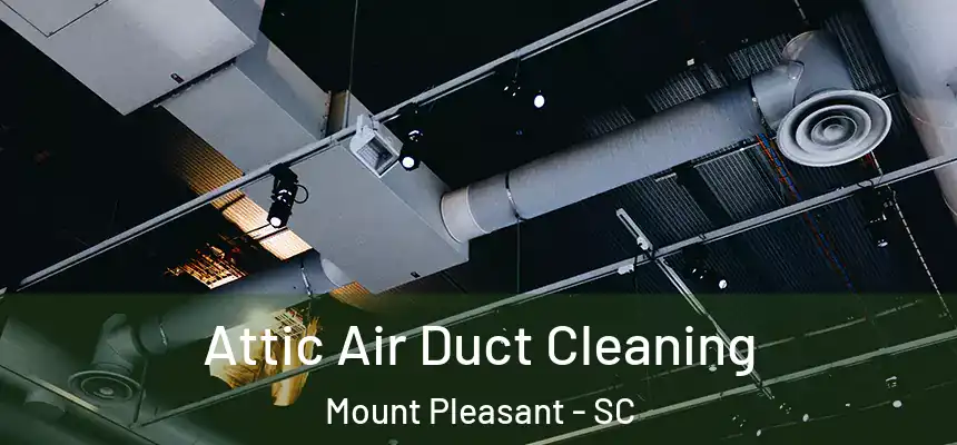  Attic Air Duct Cleaning Mount Pleasant - SC