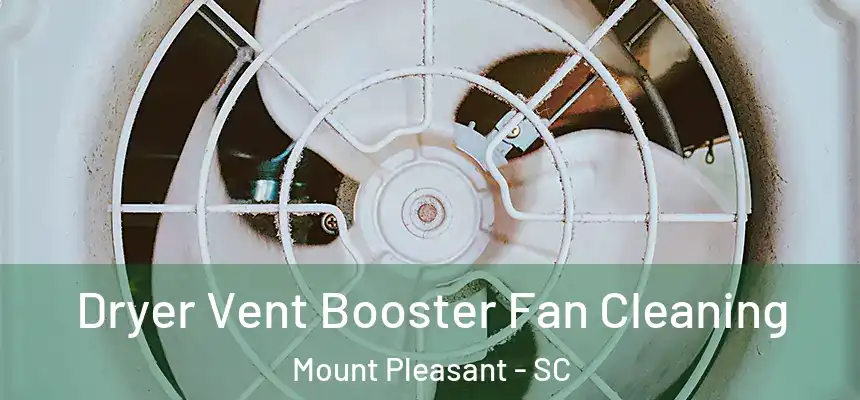 Dryer Vent Booster Fan Cleaning Mount Pleasant - SC