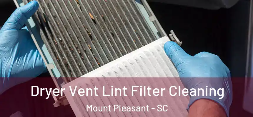 Dryer Vent Lint Filter Cleaning Mount Pleasant - SC
