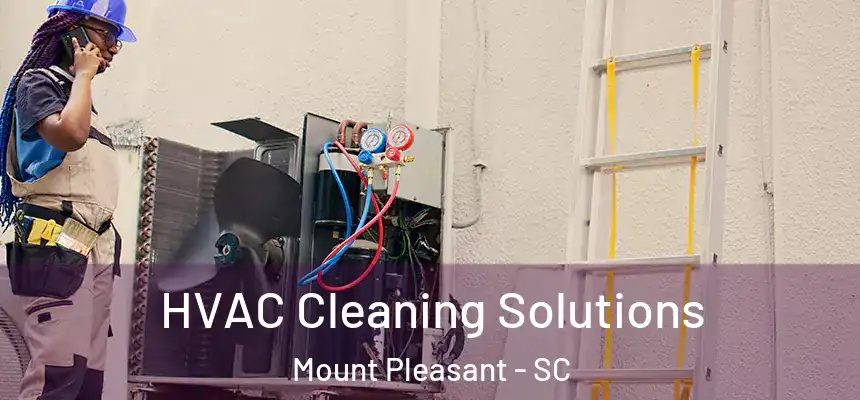  HVAC Cleaning Solutions Mount Pleasant - SC