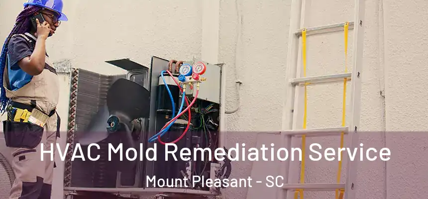  HVAC Mold Remediation Service Mount Pleasant - SC