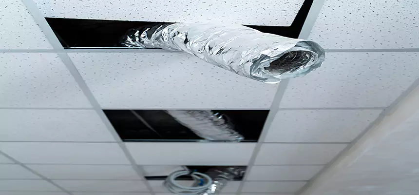 Our Air Duct Pet Hair Removal Services in Mount Pleasant, SC