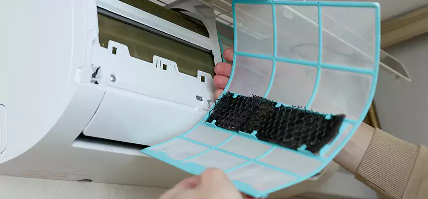 Gentle Ductwork Odor-Control Pet Dander Duct Cleaning in Mount Pleasant, SC