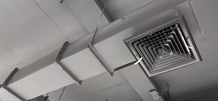 Our Rodent Droppings In Vents Services in Mount Pleasant, SC