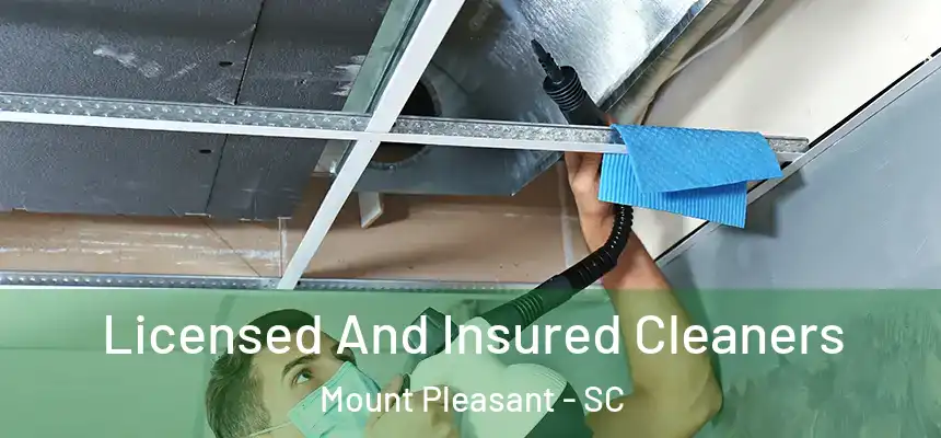  Licensed And Insured Cleaners Mount Pleasant - SC