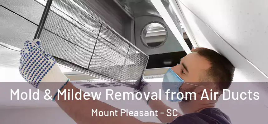  Mold & Mildew Removal from Air Ducts Mount Pleasant - SC