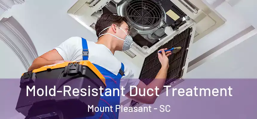  Mold-Resistant Duct Treatment Mount Pleasant - SC