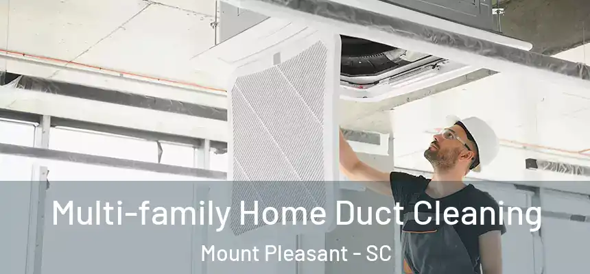  Multi-family Home Duct Cleaning Mount Pleasant - SC