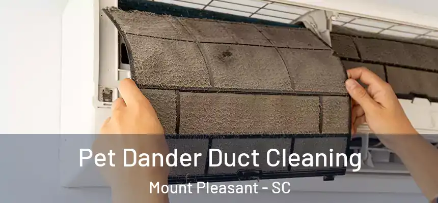 Pet Dander Duct Cleaning Mount Pleasant - SC