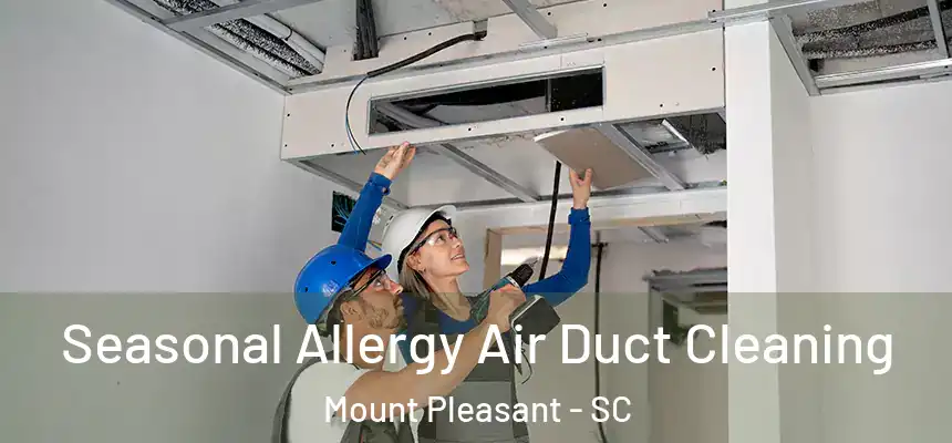 Seasonal Allergy Air Duct Cleaning Mount Pleasant - SC