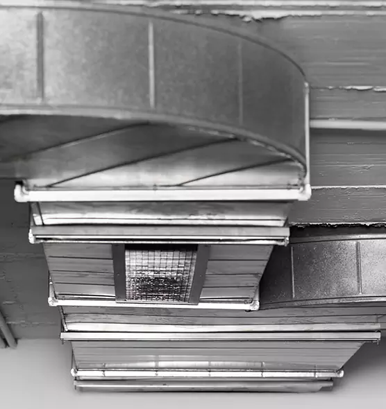 Professional Air Duct Pest Removal in Mount Pleasant, SC