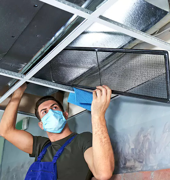 Professional Air Duct Pollen Cleaning in Mount Pleasant, SC