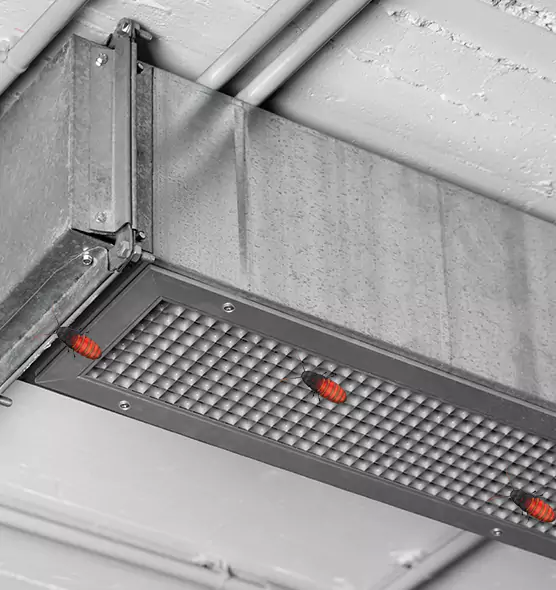 Affordable Insect Removal from Air Ducts in Mount Pleasant, SC