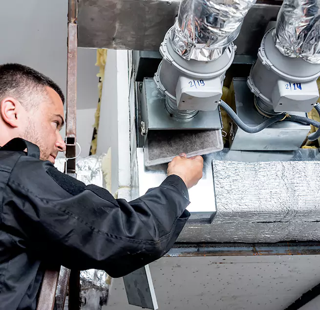 Why Homeowners & Businesses Trust Us in Mount Pleasant, SC?