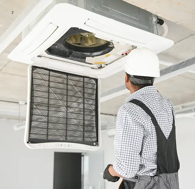 Why Homeowners & Businesses Trust Us in Mount Pleasant, SC?