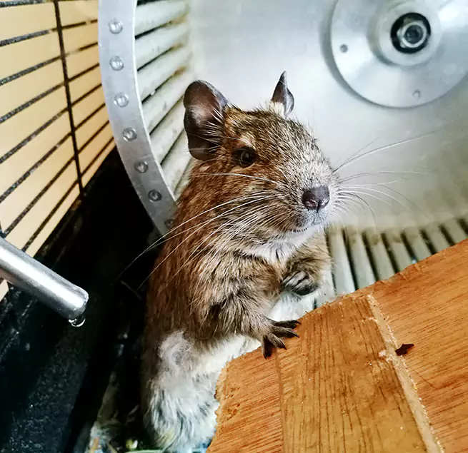 Why Homeowners & Businesses Trust Us Mount Pleasant, SC