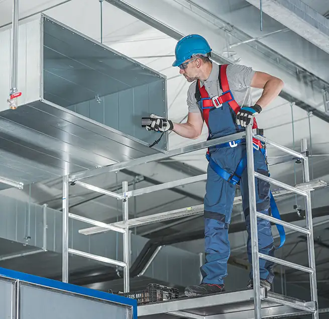 Why Homeowners & Businesses Trust Us in Mount Pleasant, SC?