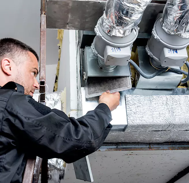 Why Homeowners & Businesses Trust Us in Mount Pleasant, SC