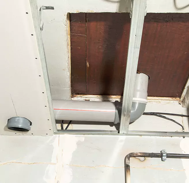 Why Homeowners & Businesses Trust Us in Mount Pleasant, SC?