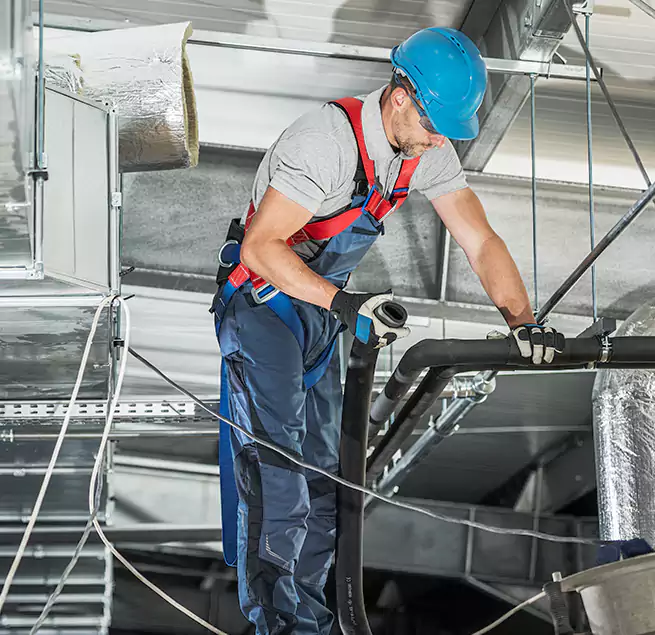 Why Homeowners & Businesses Trust Us in Mount Pleasant, SC?