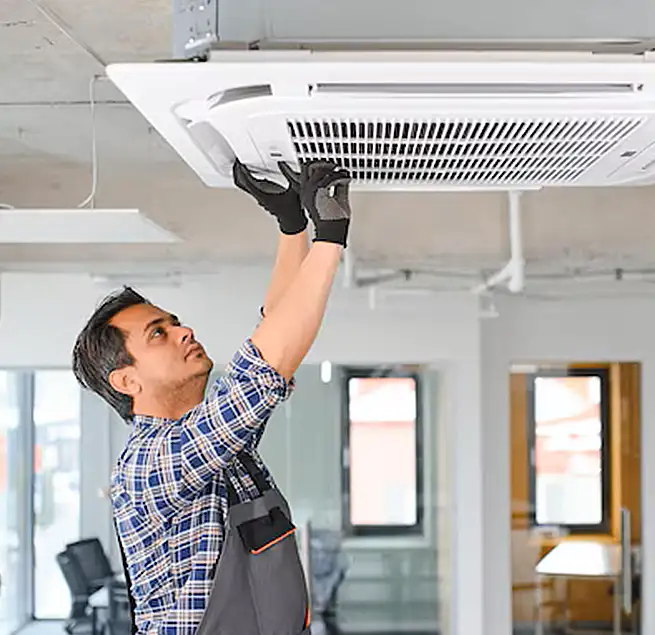 Why Homeowners & Businesses Trust Us in Mount Pleasant, SC?