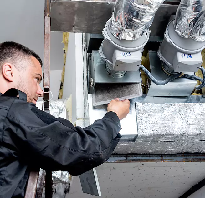  Why Homeowners & Businesses Trust Us in Mount Pleasant, SC?