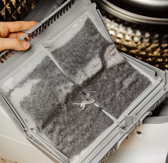 Why Homeowners & Businesses Trust Us Mount Pleasant, SC?