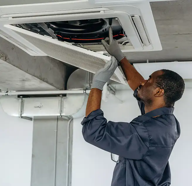 Why Homeowners & Businesses Trust Us in Mount Pleasant, SC?