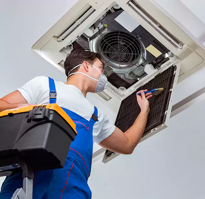 Why Homeowners & Businesses Trust Us in Mount Pleasant, SC?