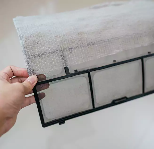 Why Homeowners & Businesses Trust Us in Mount Pleasant, SC?