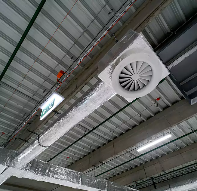 Why Homeowners & Businesses Trust Us in Mount Pleasant, SC