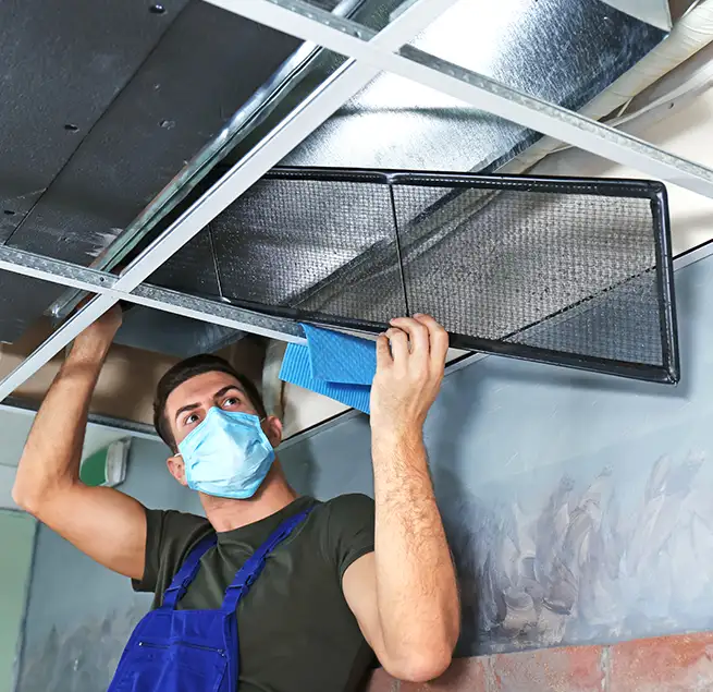 Why Homeowners & Businesses Trust Us in Mount Pleasant, SC?