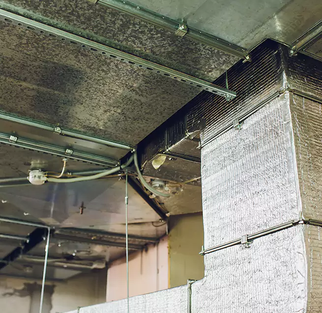 Why Homeowners & Businesses Trust Us in Mount Pleasant, SC?