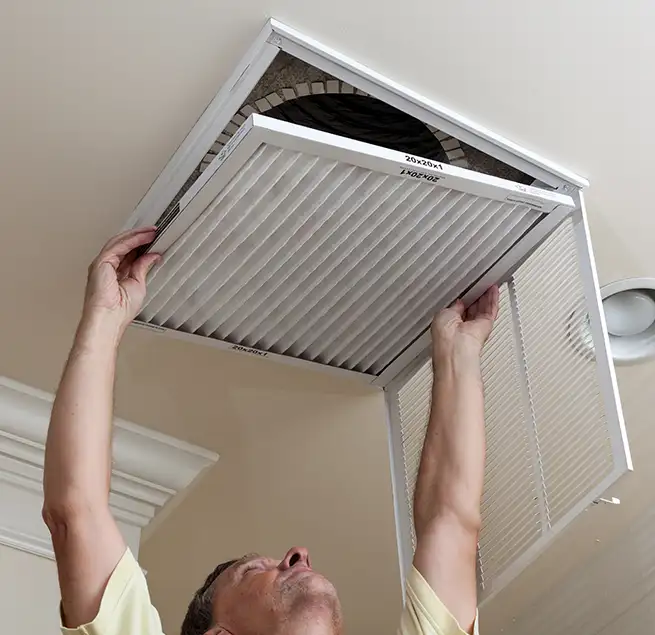 Why Homeowners & Businesses Trust Us in Mount Pleasant, SC?