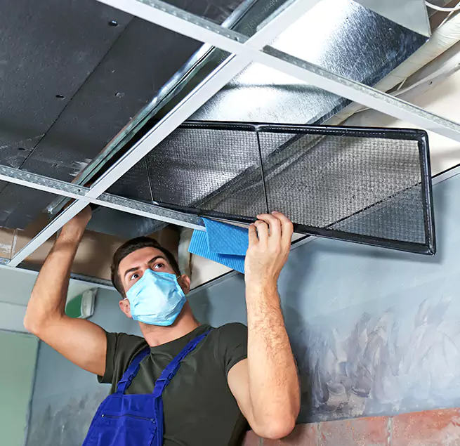  Why Homeowners Businesses Trust Us  in Mount Pleasant, SC?