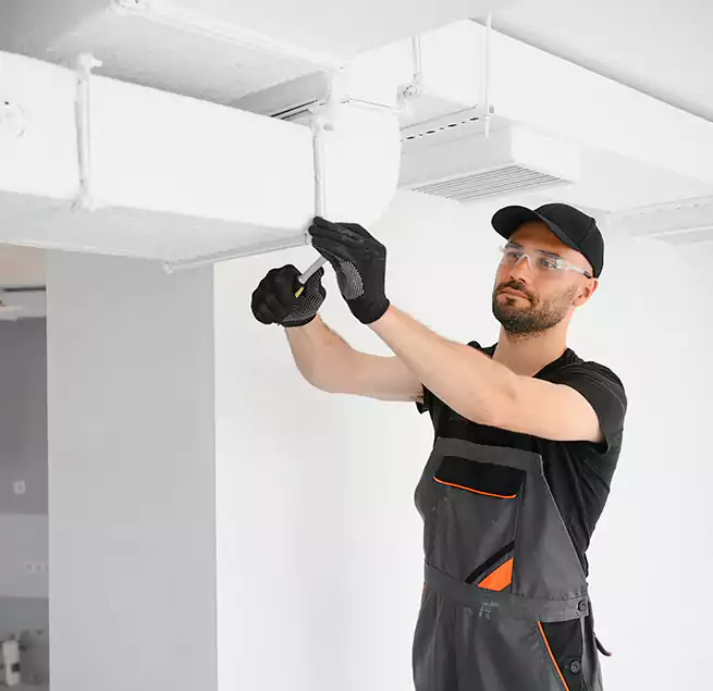 Why Homeowners & Businesses Trust Us in Mount Pleasant, SC?